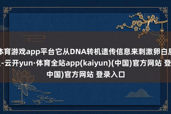 体育游戏app平台它从DNA转机遗传信息来刺激卵白质的产生-云开yun·体育全站app(kaiyun)(中国)官方网站 登录入口