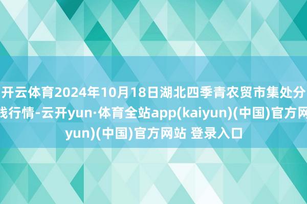 开云体育2024年10月18日湖北四季青农贸市集处分有限公司价钱行情-云开yun·体育全站app(kaiyun)(中国)官方网站 登录入口