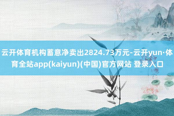 云开体育机构蓄意净卖出2824.73万元-云开yun·体育全站app(kaiyun)(中国)官方网站 登录入口