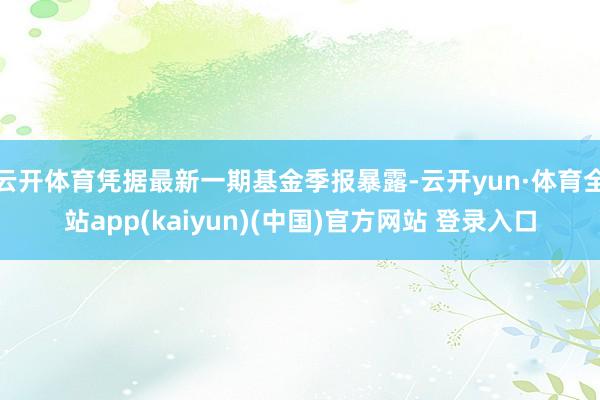 云开体育凭据最新一期基金季报暴露-云开yun·体育全站app(kaiyun)(中国)官方网站 登录入口